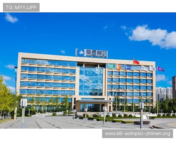 凯发集团网页版登录入口详细操作流程与常见问题解决方案